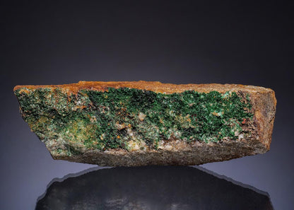 CC49374 specimen image