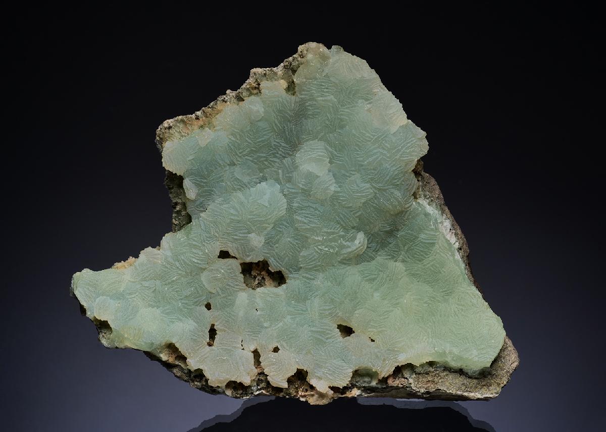 CC49380 specimen image