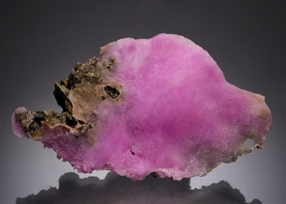 CC4939 specimen image