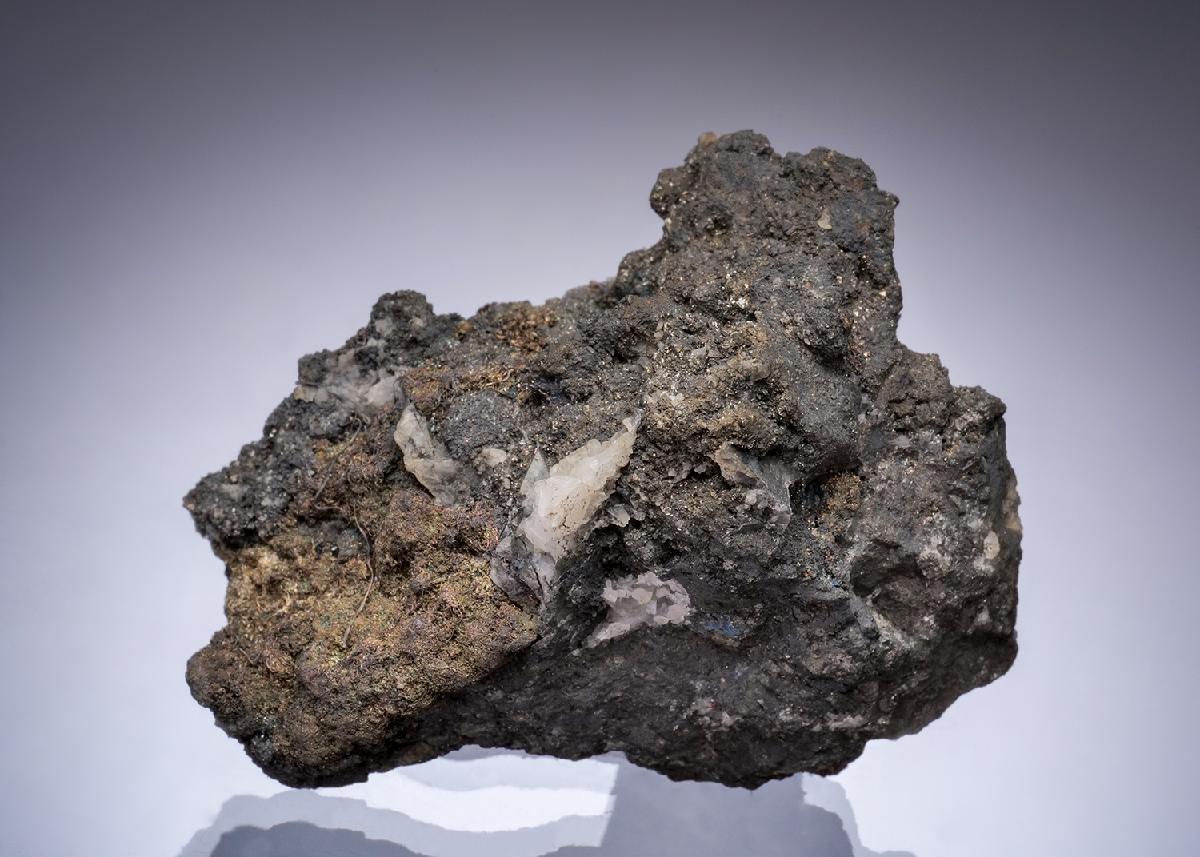 CC49392 specimen image