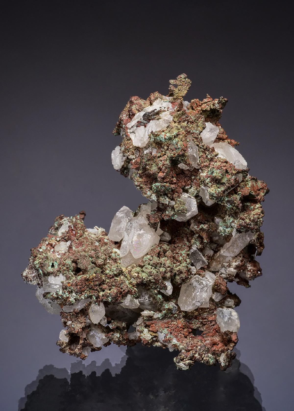 CC49408 specimen image