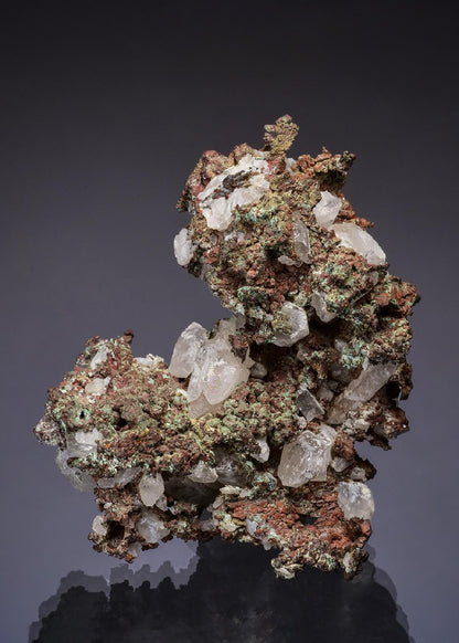 CC49408 specimen image
