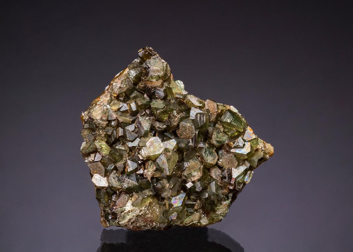 CC49412 specimen image