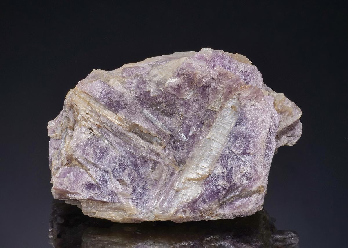 CC49434 specimen image