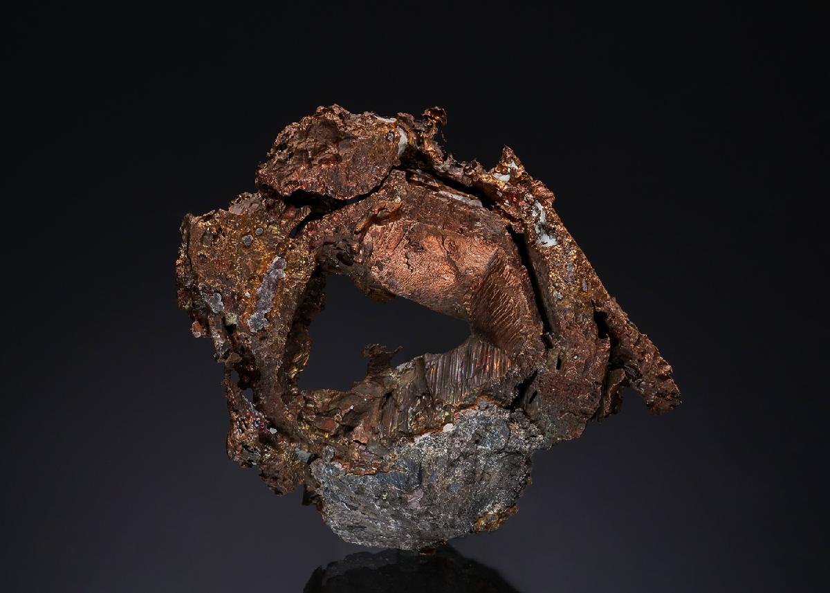 CC49440 specimen image