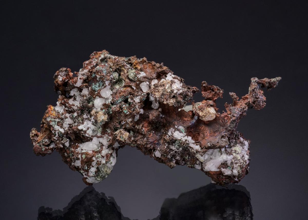 CC49454 specimen image