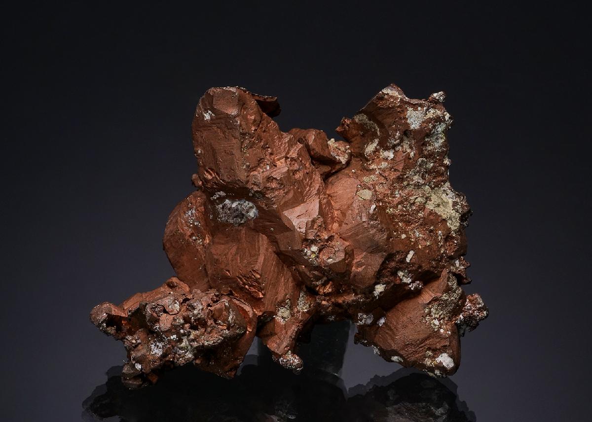 CC49470 specimen image