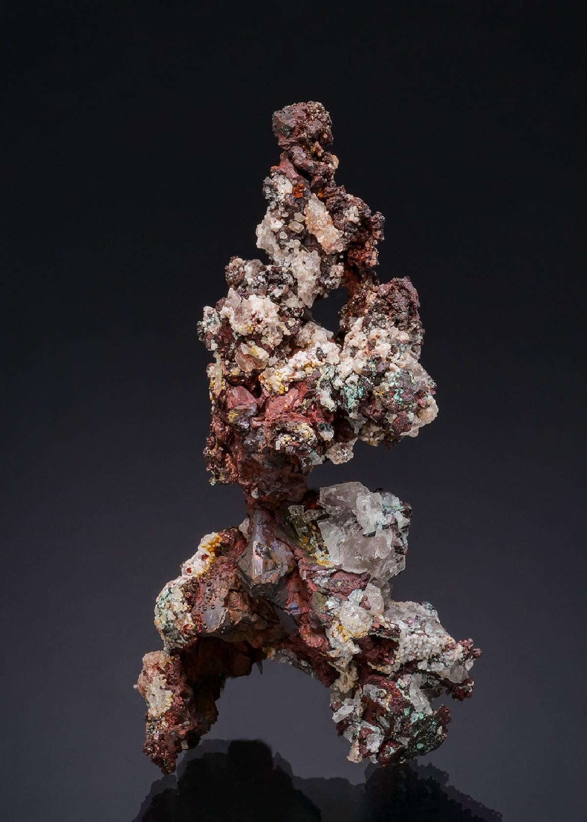 CC49472 specimen image