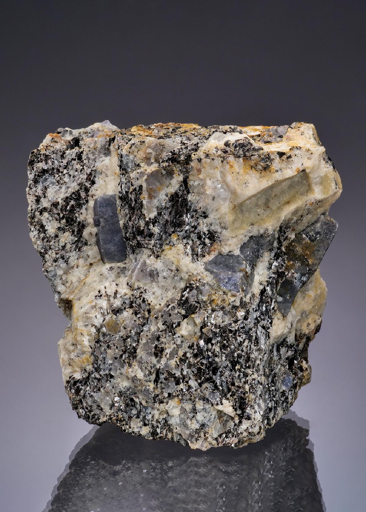 CC49492 specimen image