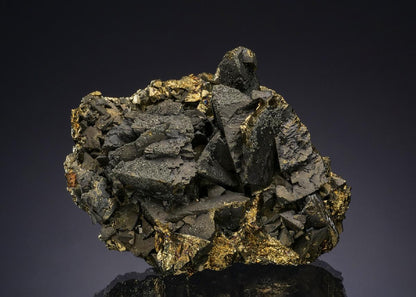 CC49506 specimen image
