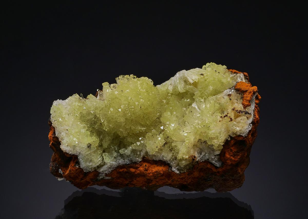 CC49534 specimen image