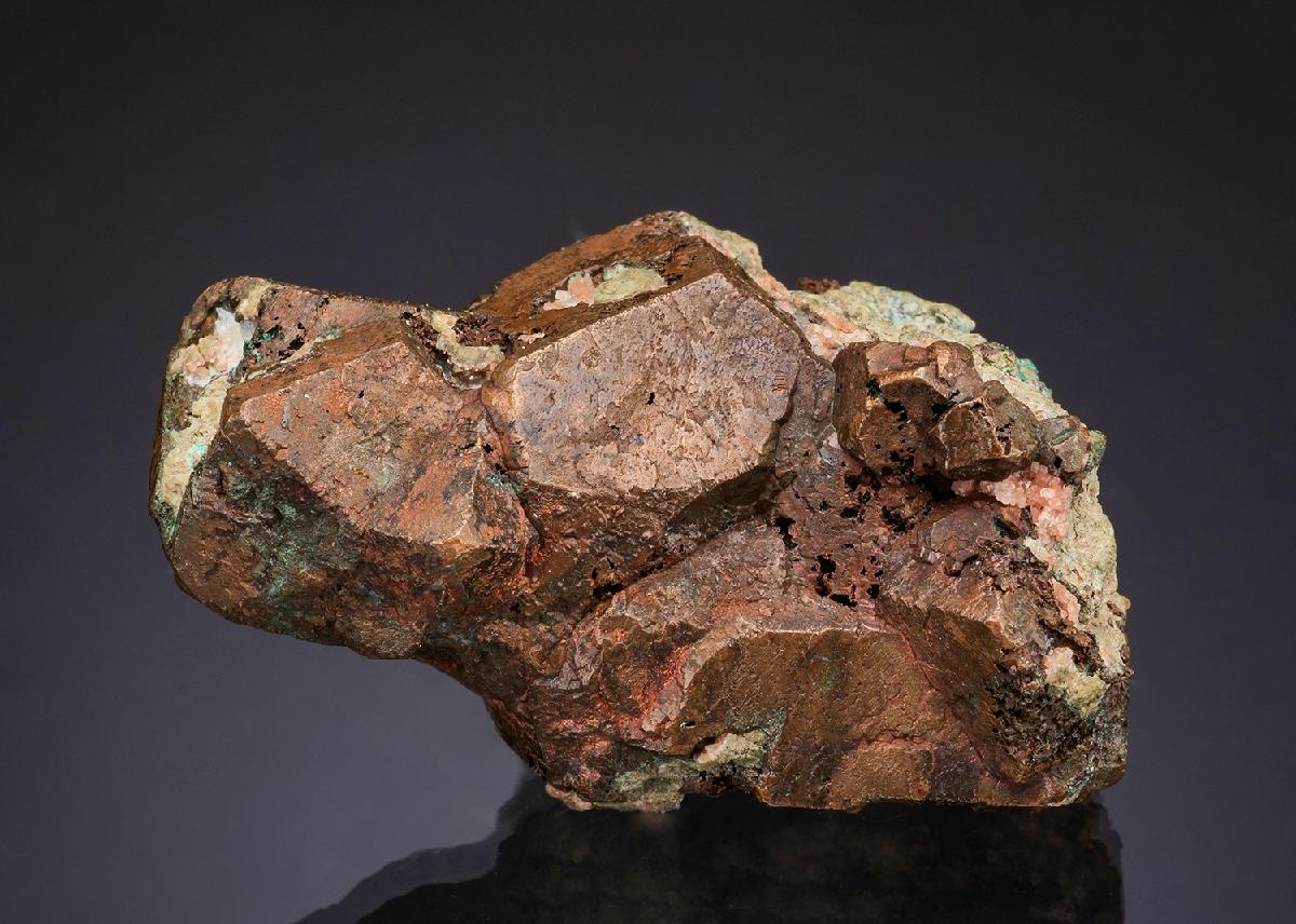 CC49564 specimen image