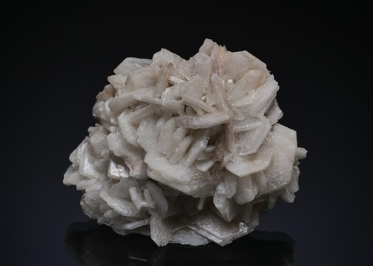 CC49604 specimen image