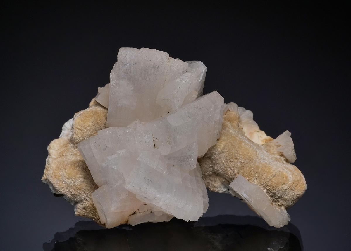 CC49612 specimen image