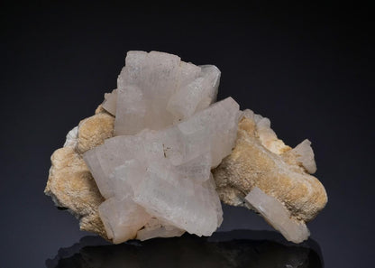 CC49612 specimen image