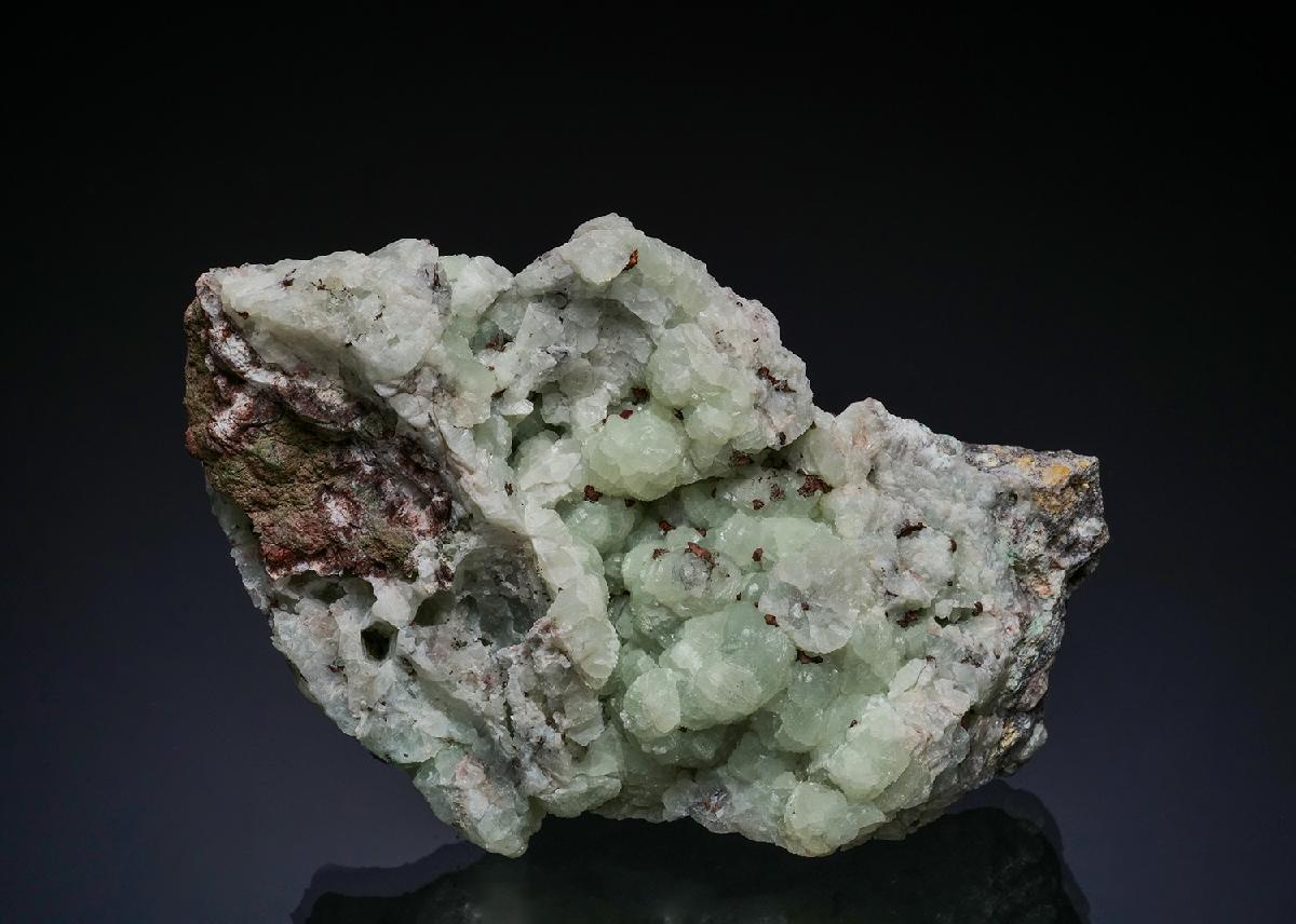 CC49622 specimen image