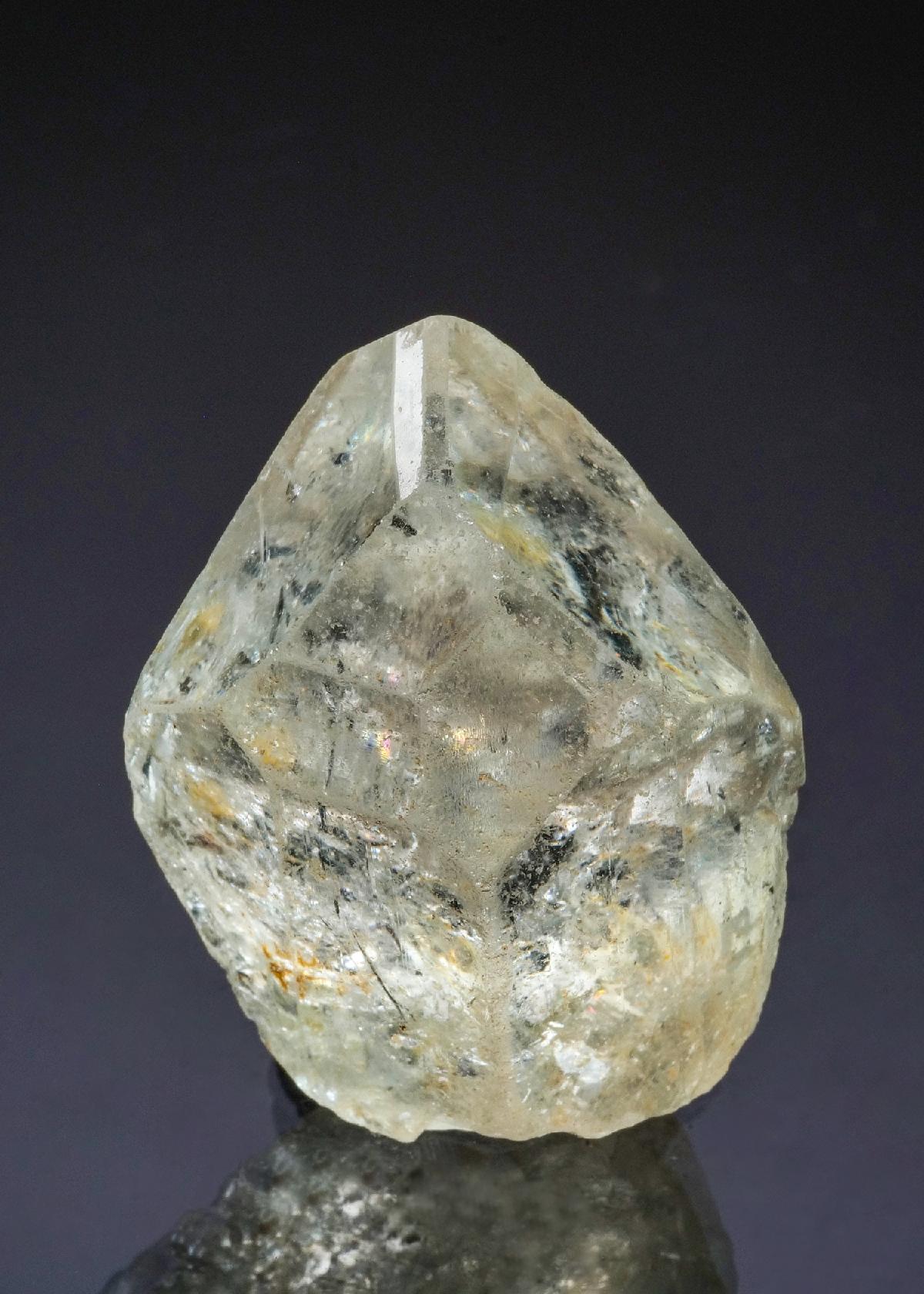 CC49636 specimen image