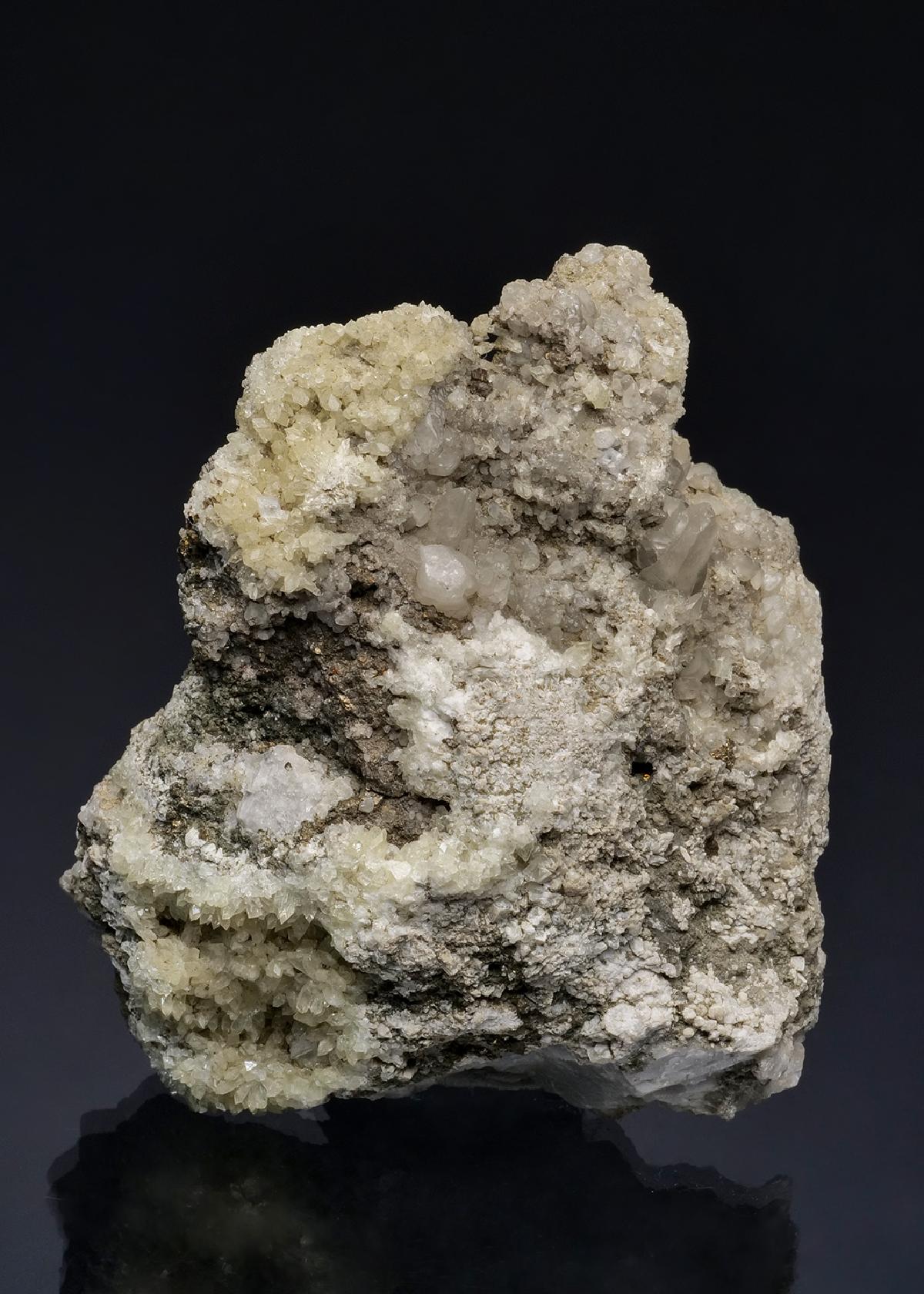 CC49654 specimen image