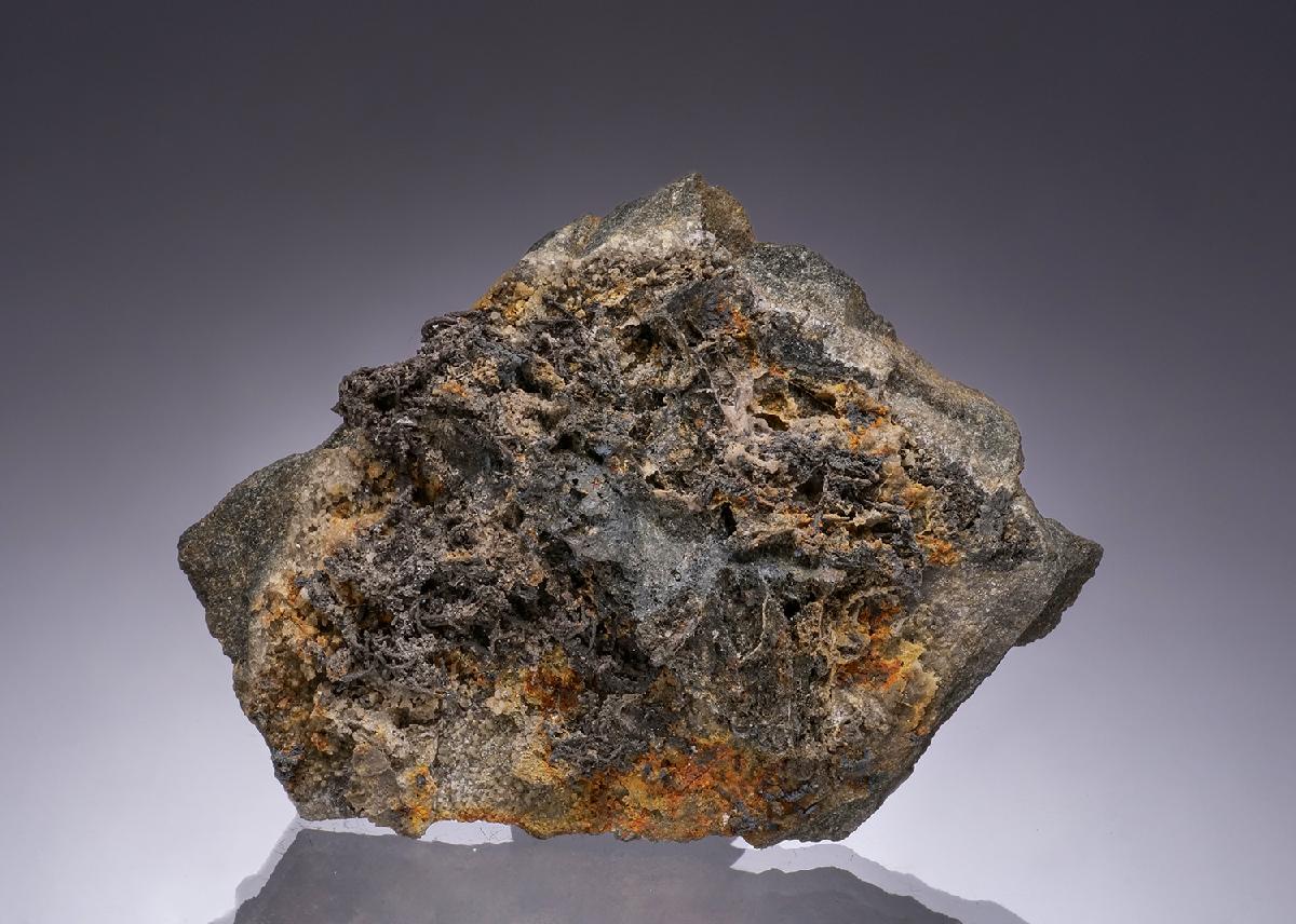 CC49672 specimen image