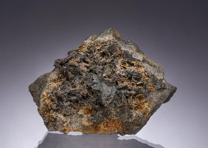 CC49672 specimen image