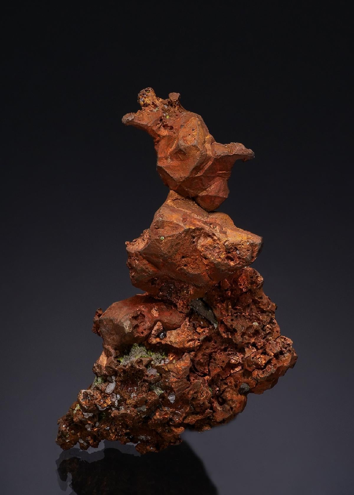 CC49686 specimen image