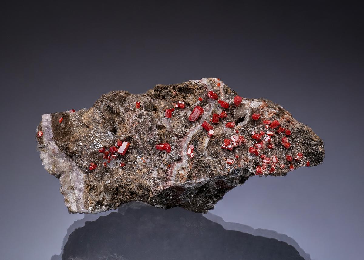CC49724 specimen image