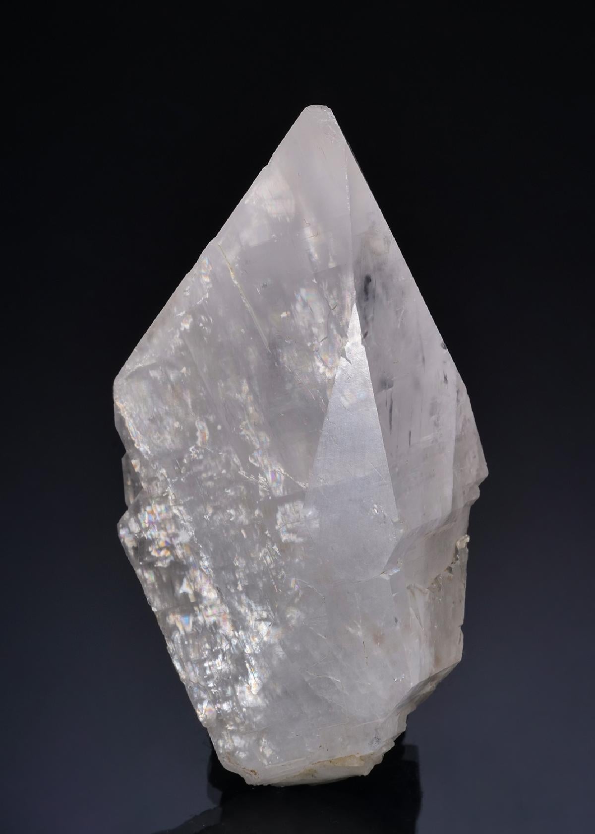 CC49746 specimen image