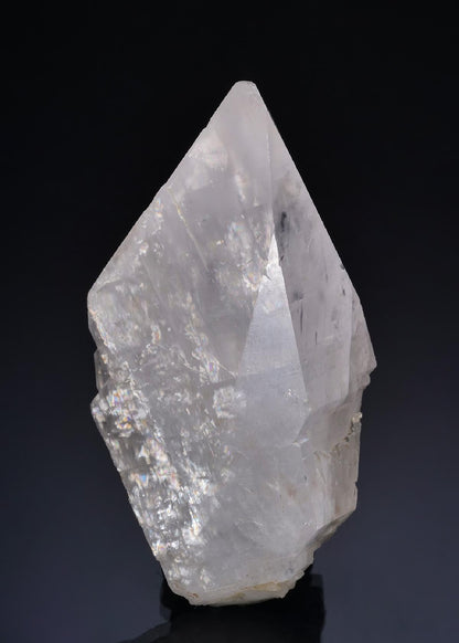CC49746 specimen image