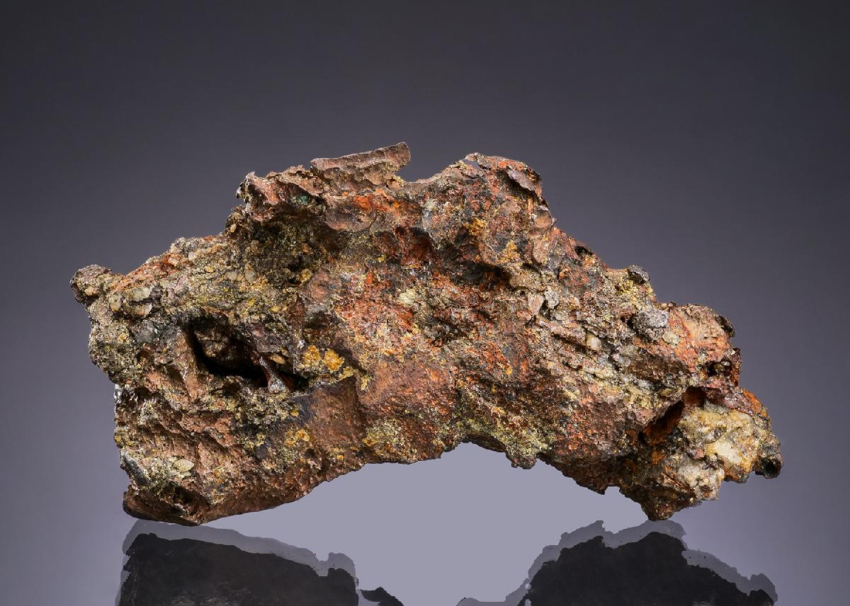 CC49758 specimen image