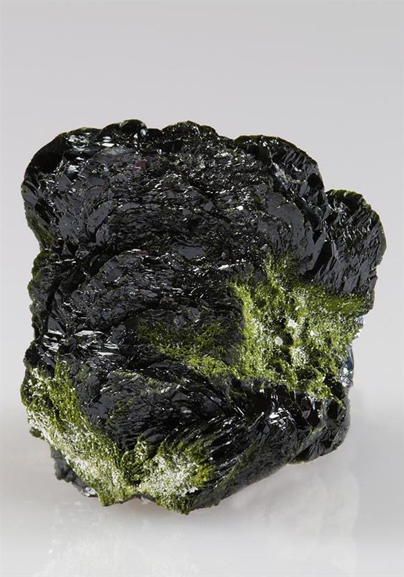 CC4976 specimen image