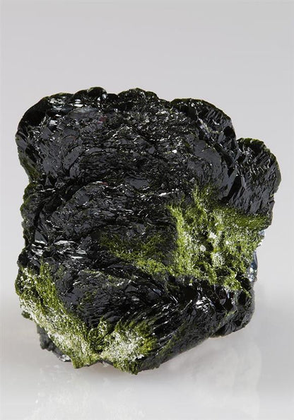 CC4976 specimen image
