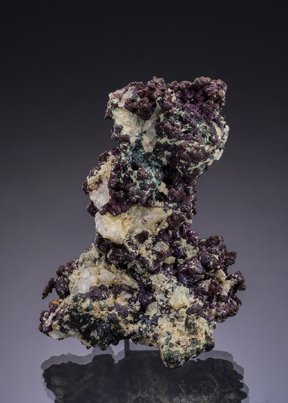 CC49766 specimen image