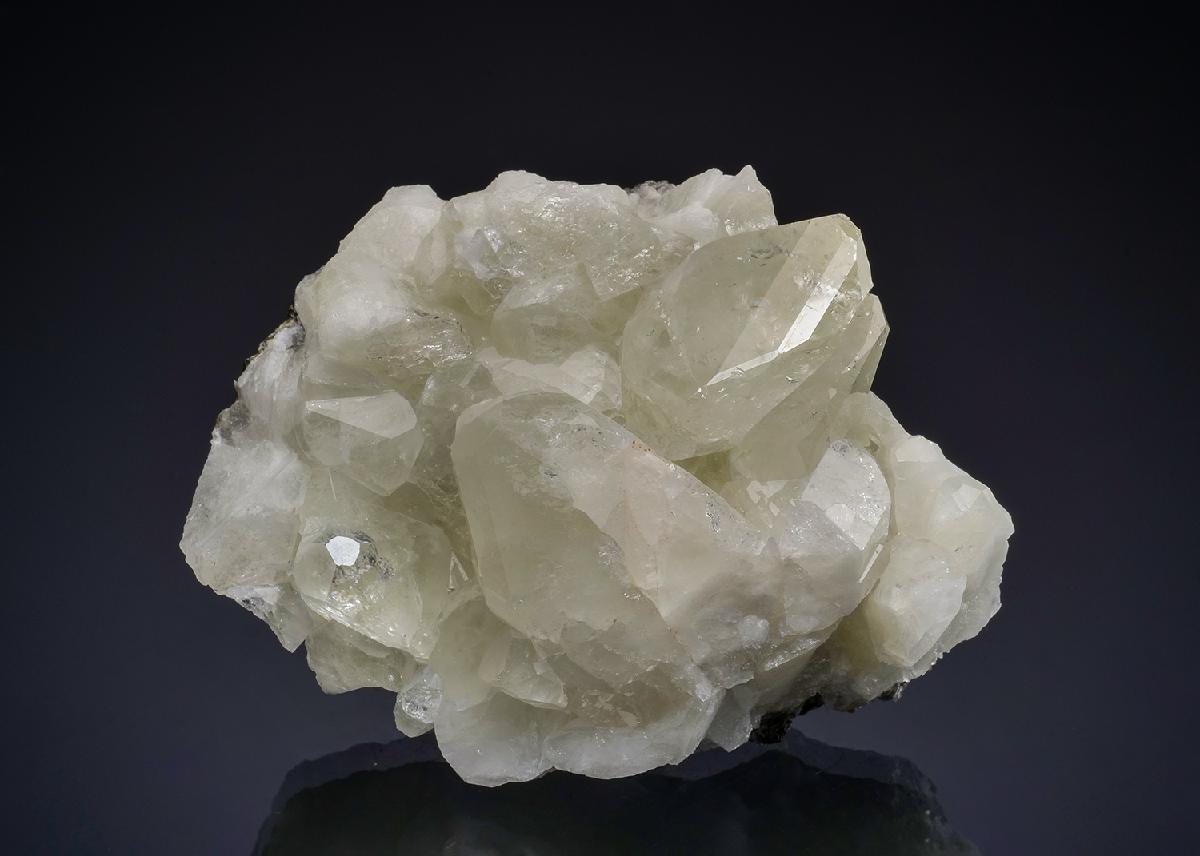 CC49772 specimen image