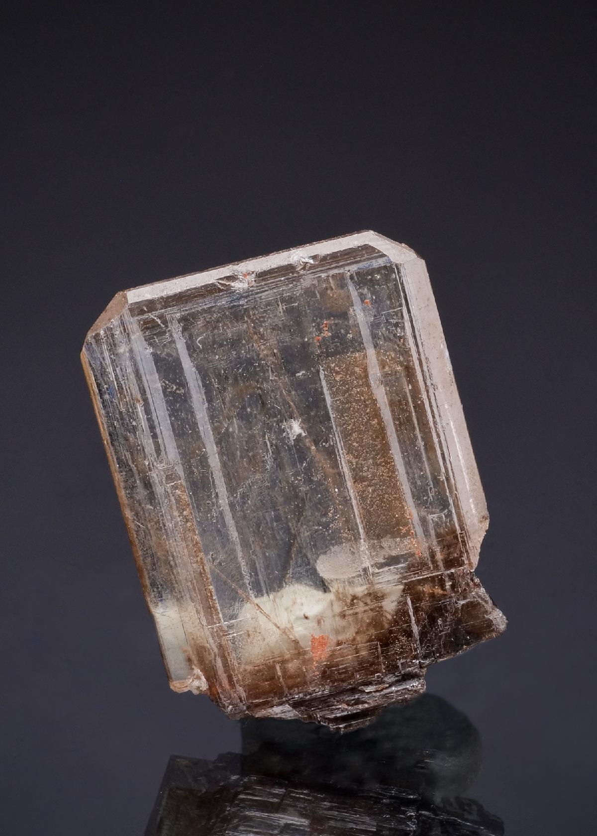 CC49778 specimen image