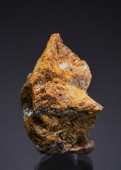 CC49786 specimen image