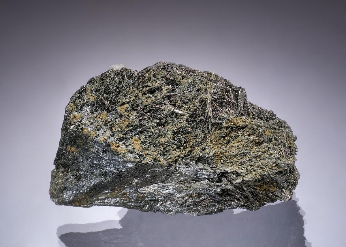CC49832 specimen image