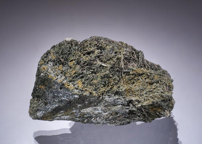 CC49832 specimen image
