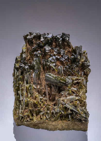 CC49834 specimen image