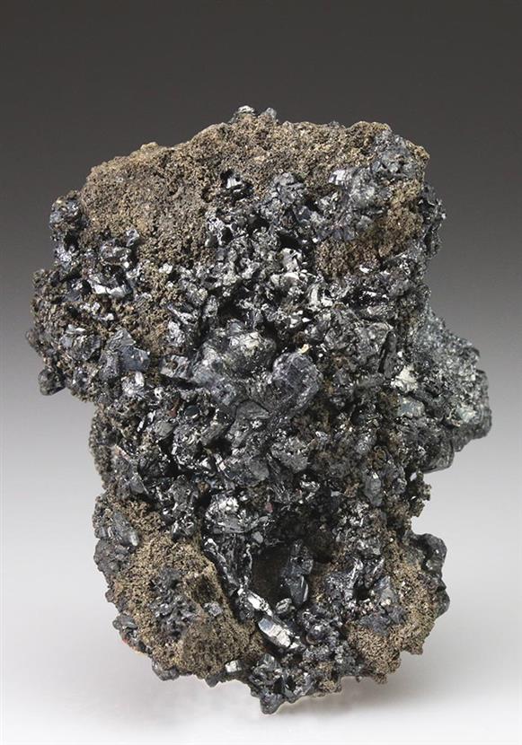 CC4984 specimen image