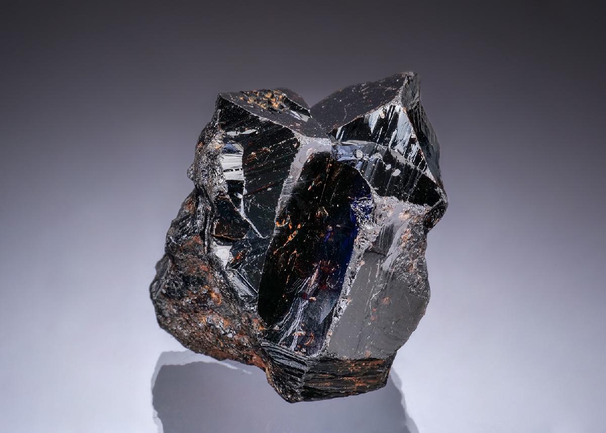 CC49844 specimen image