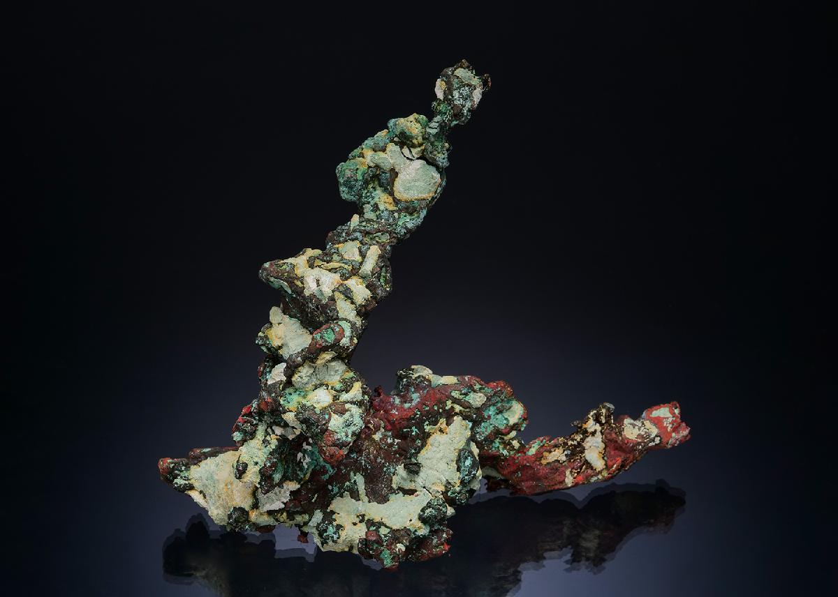 CC49858 specimen image