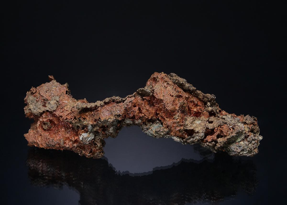 CC49898 specimen image
