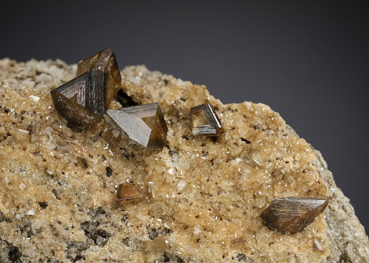 CC4990 specimen image
