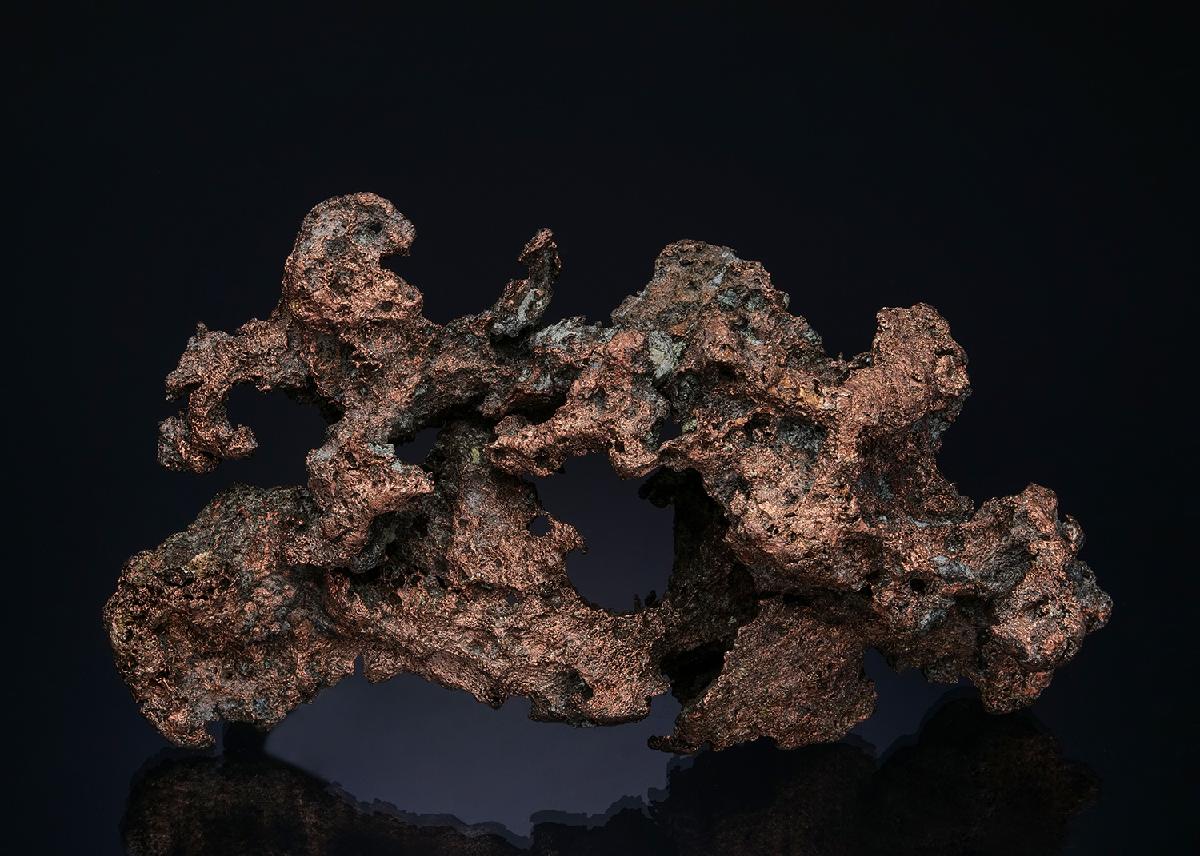 CC49900 specimen image