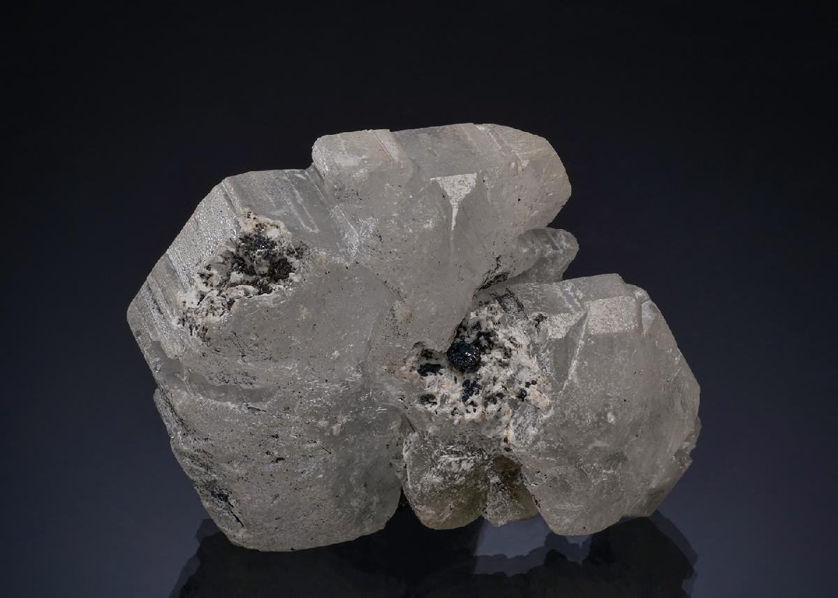 CC49912 specimen image