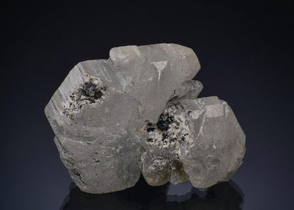 CC49912 specimen image