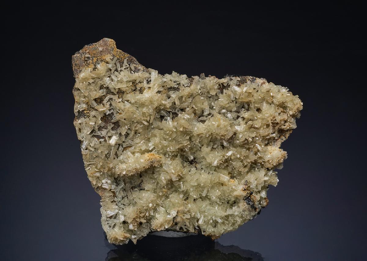 CC49914 specimen image