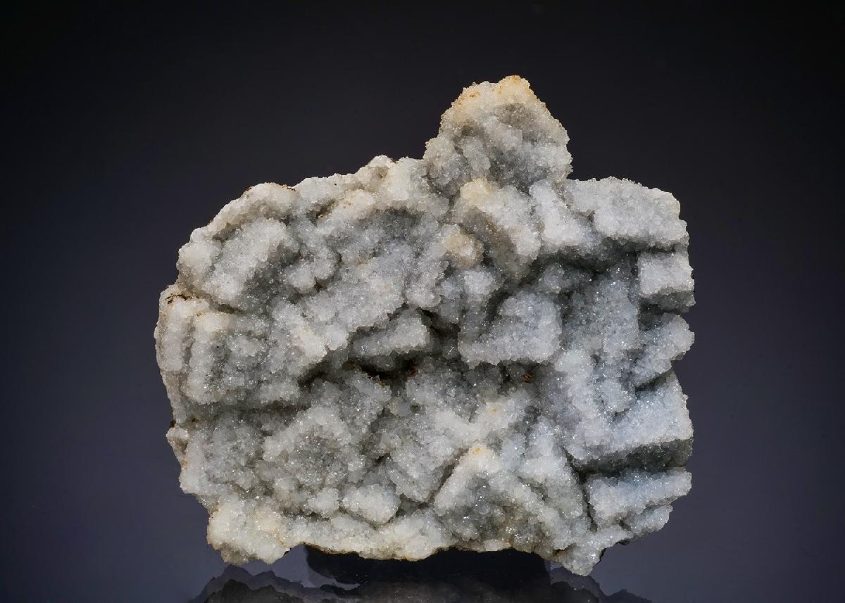 CC49950 specimen image