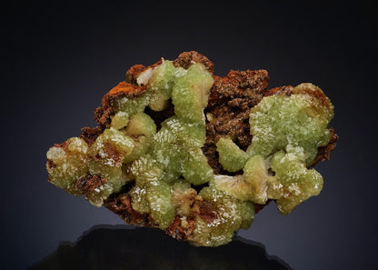CC49954 specimen image