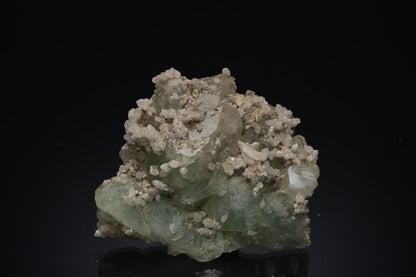 CC49960 specimen image